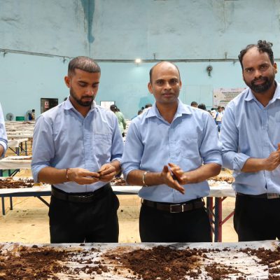 Seeds Ball distribution